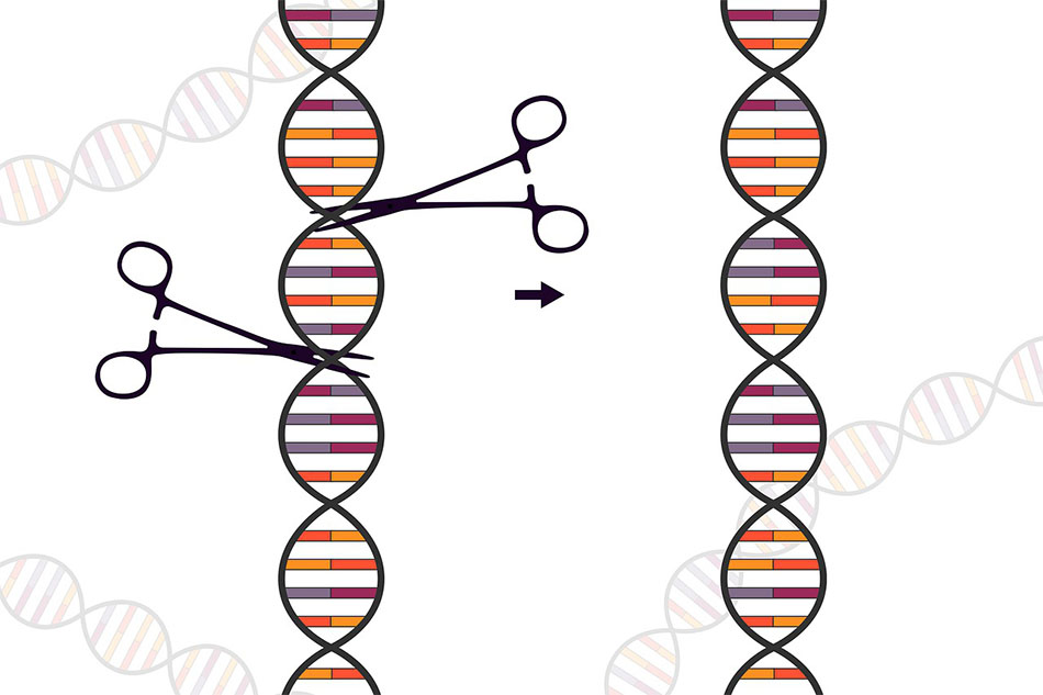 What Diseases Can CRISPR technology Treat?