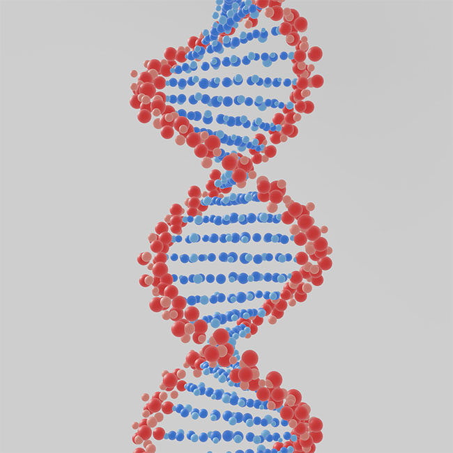 What is the Process of CRISPR?